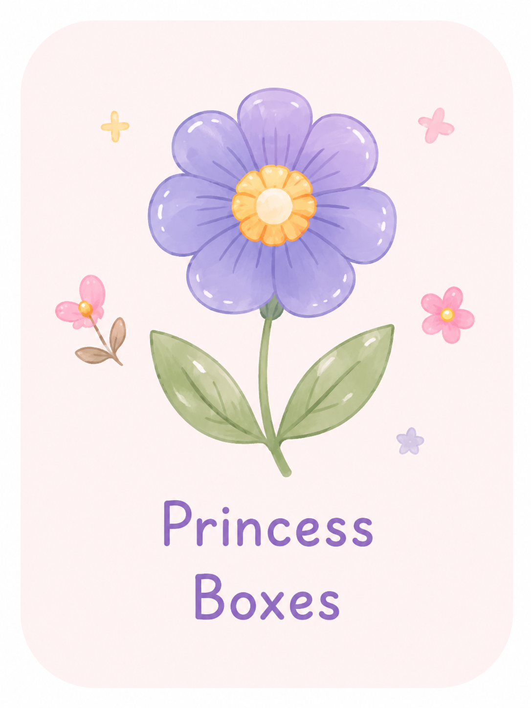 Princess Boxes