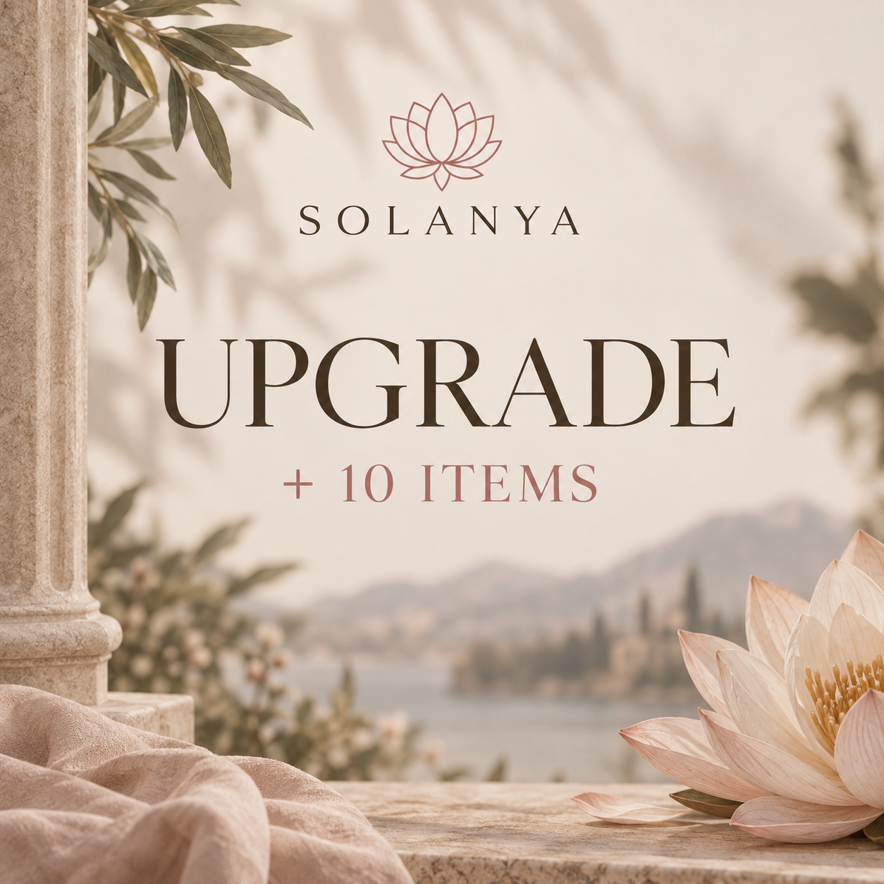 Upgrade: Add 10 Extra Items to Your Order