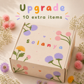 Upgrade: Add 10 Extra Items